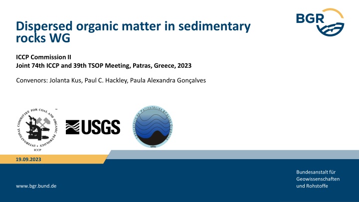 dispersed organic matter in sedimentary rocks wg