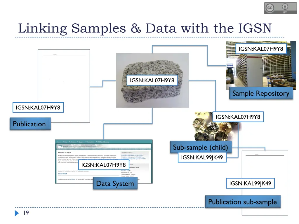 linking samples data with the igsn