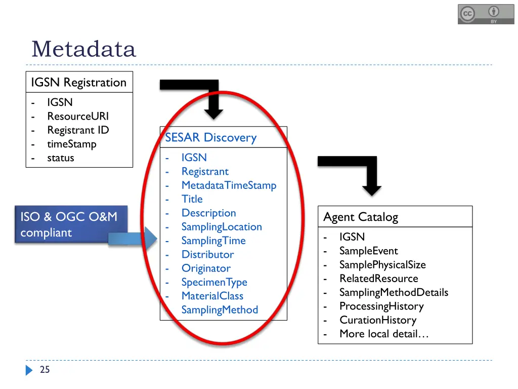 metadata