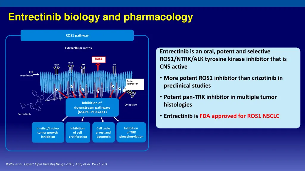 entrectinib biology and pharmacology