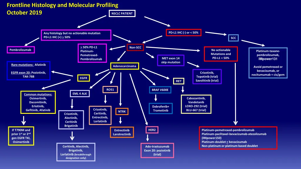 frontline histology and molecular profiling 1