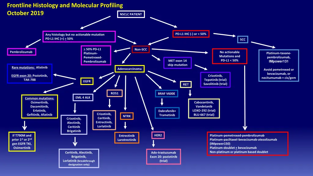 frontline histology and molecular profiling 3