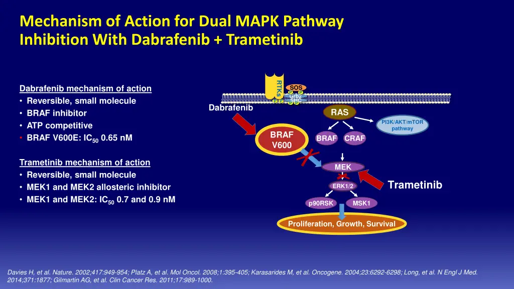 mechanism of action for dual mapk pathway