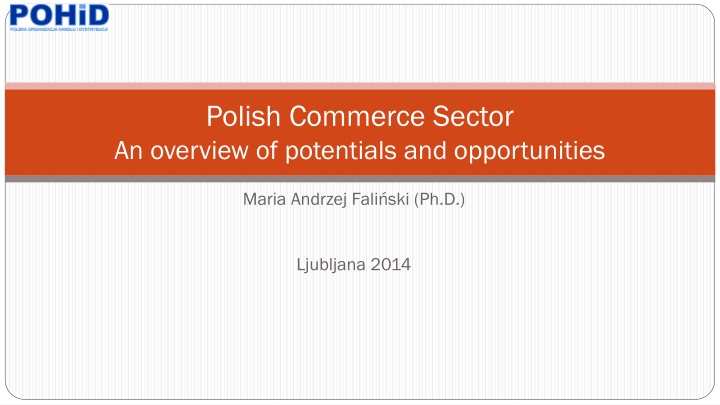 polish commerce sector an overview of potentials