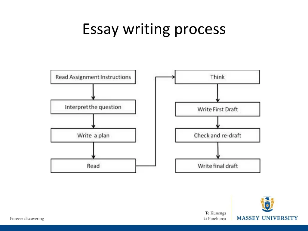 essay writing process