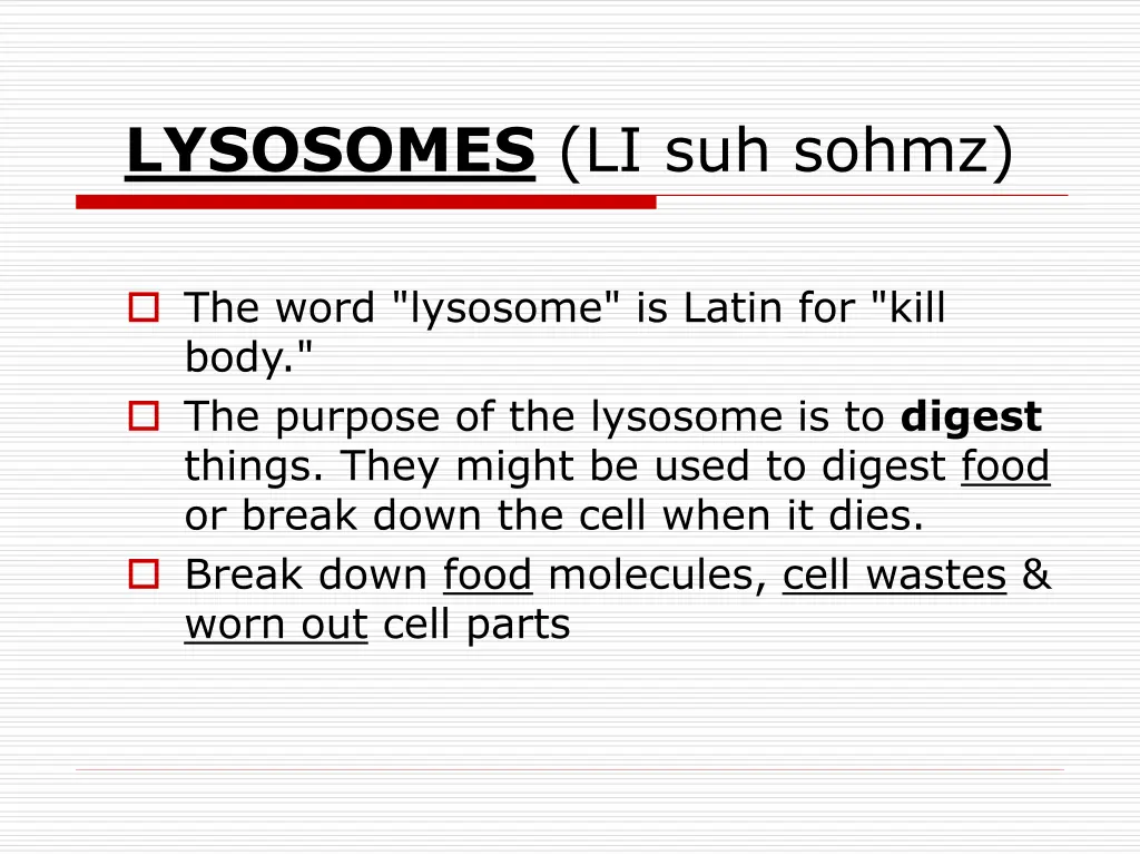 lysosomes li suh sohmz