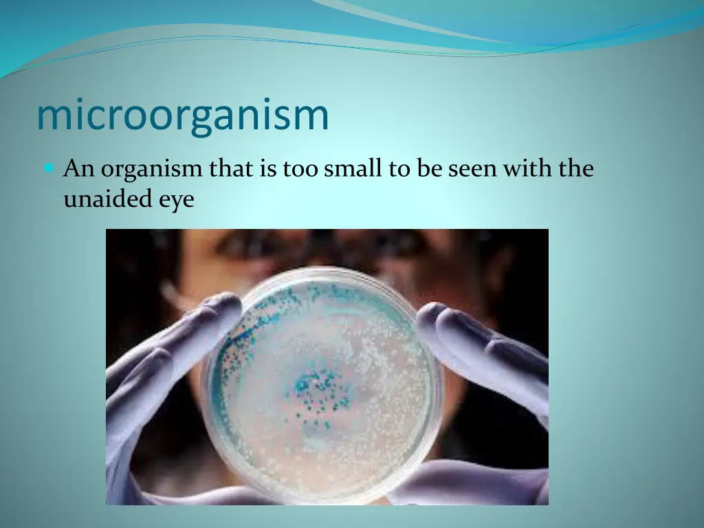 microorganism