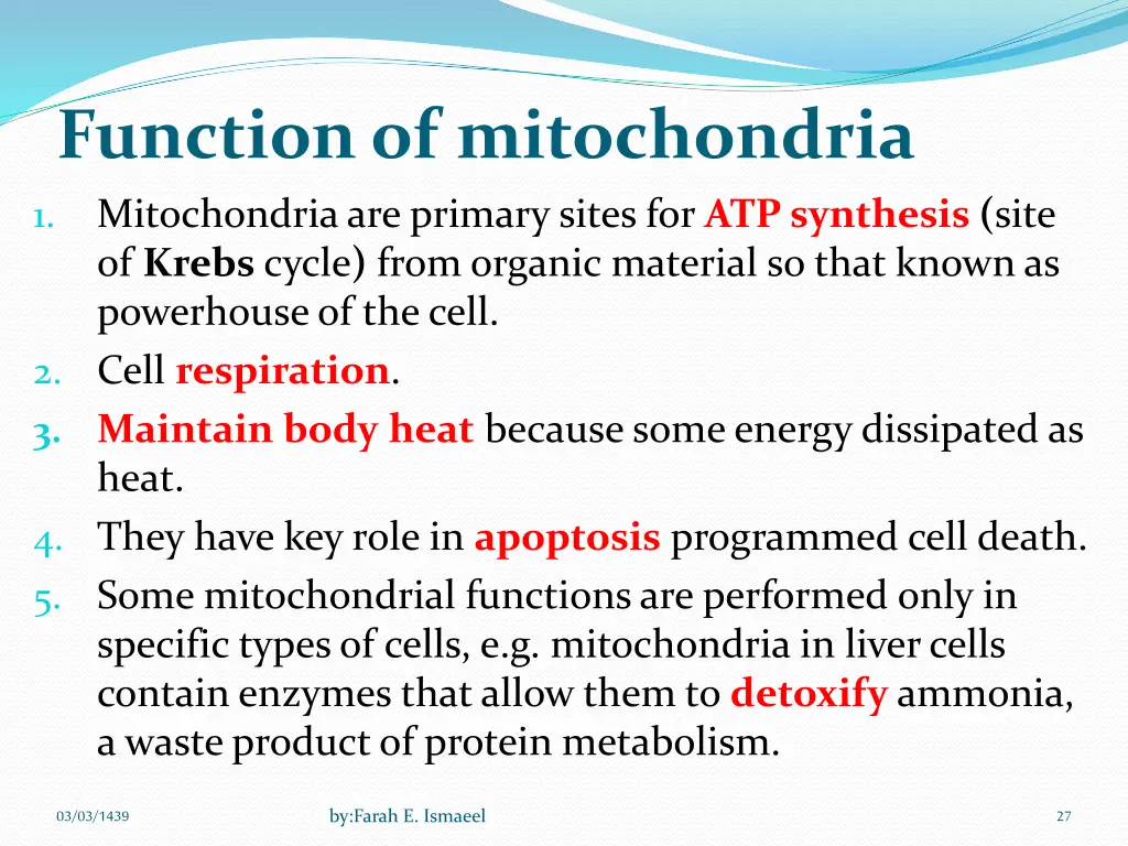 function of mitochondria