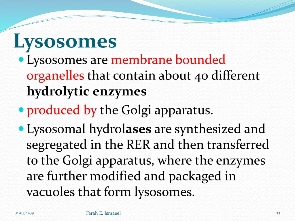 lysosomes lysosomes are membrane bounded