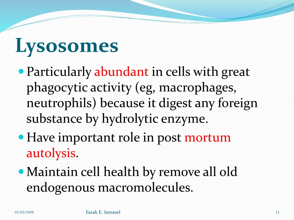 lysosomes