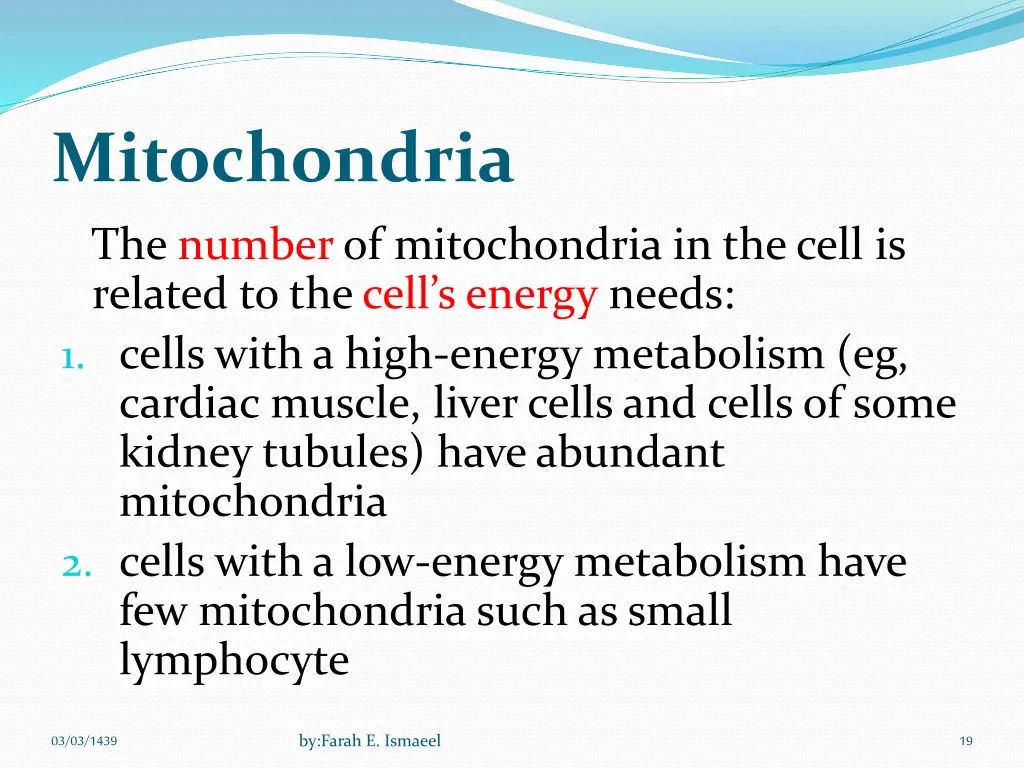 mitochondria 1