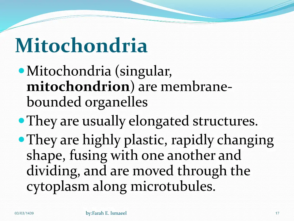 mitochondria