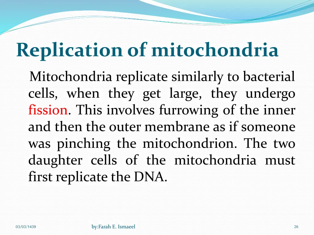 replication of mitochondria