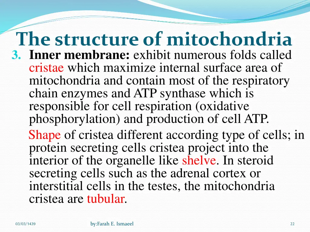 the structure of mitochondria 3 inner membrane