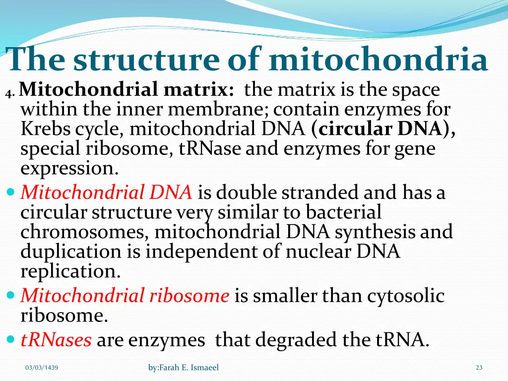 the structure of mitochondria 4 mitochondrial