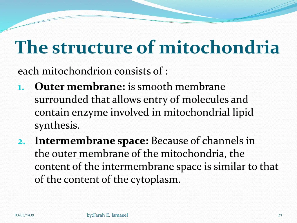 the structure of mitochondria