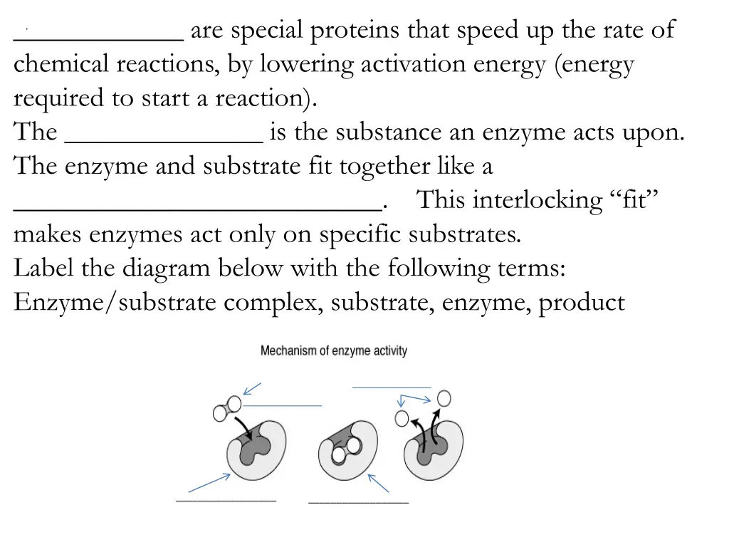 are special proteins that speed up the rate