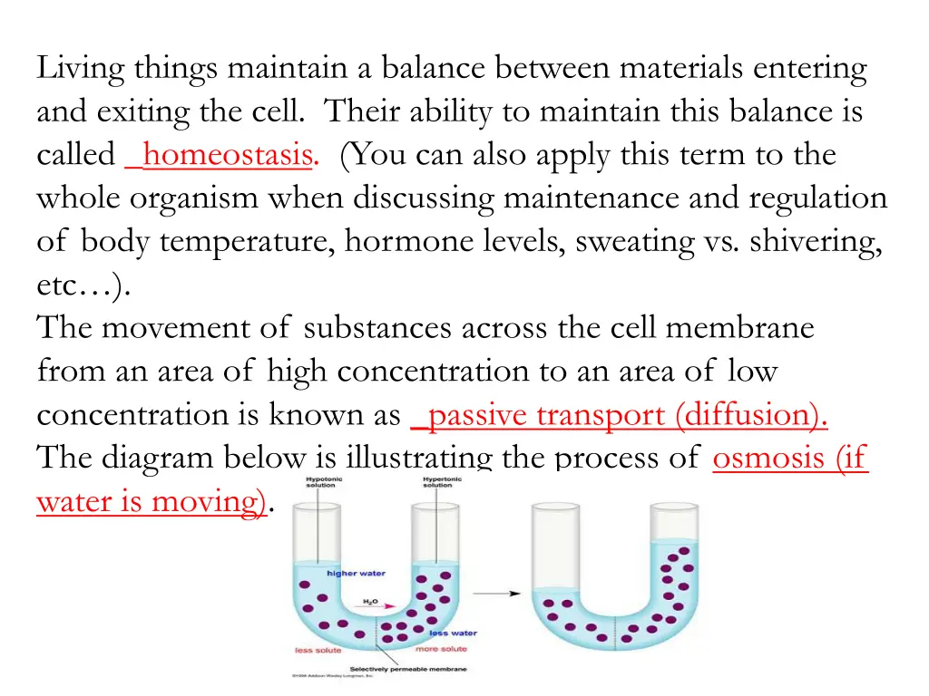 living things maintain a balance between 1