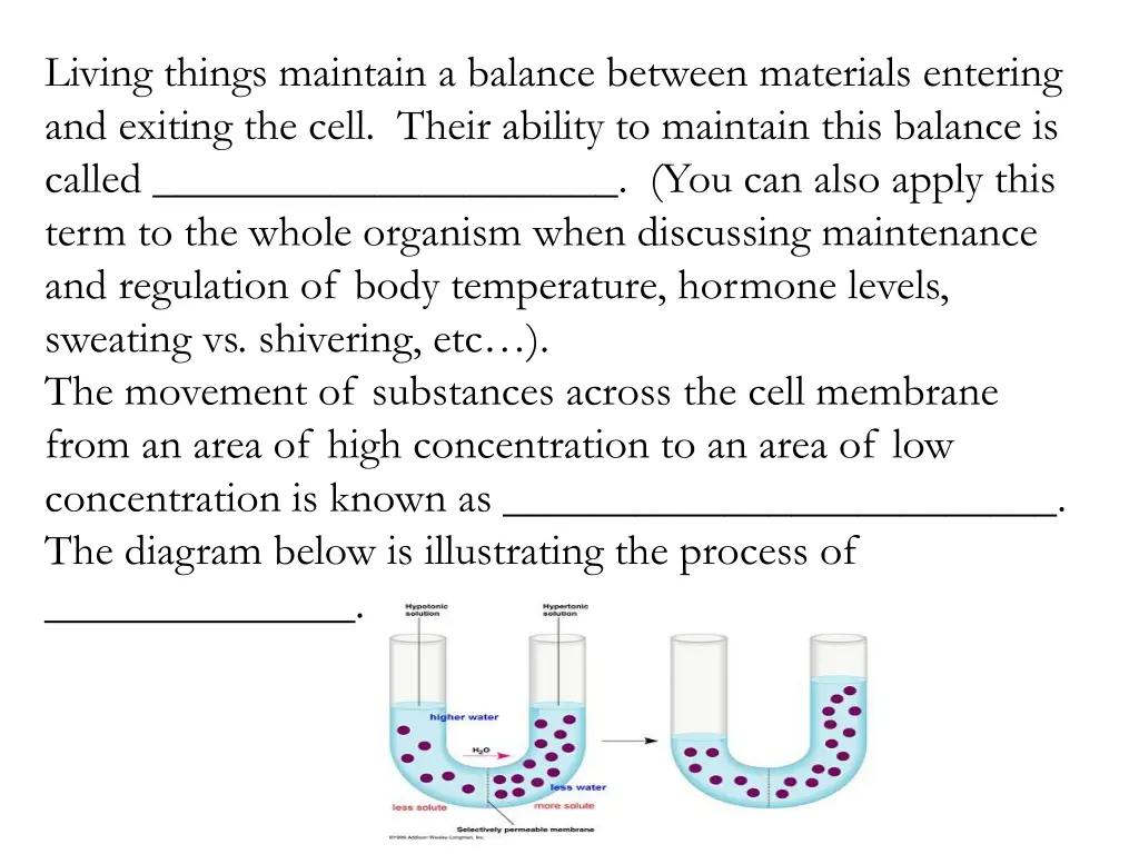 living things maintain a balance between