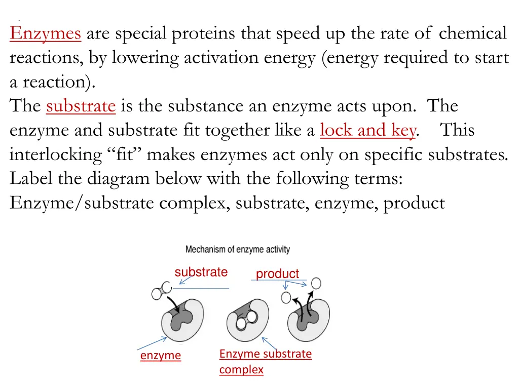 slide19