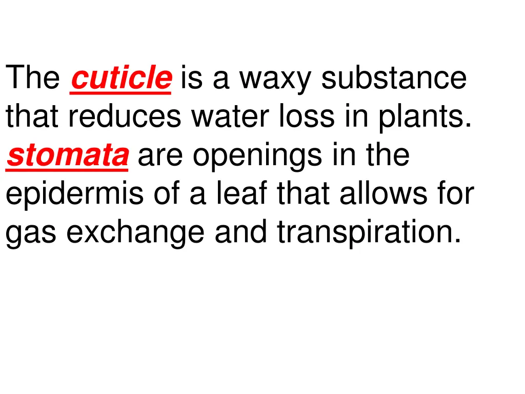 the cuticle is a waxy substance that reduces