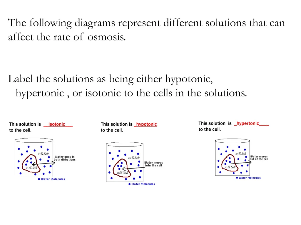 the following diagrams represent different 1