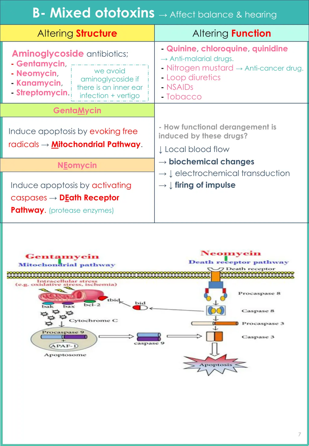 b mixed ototoxins affect balance hearing