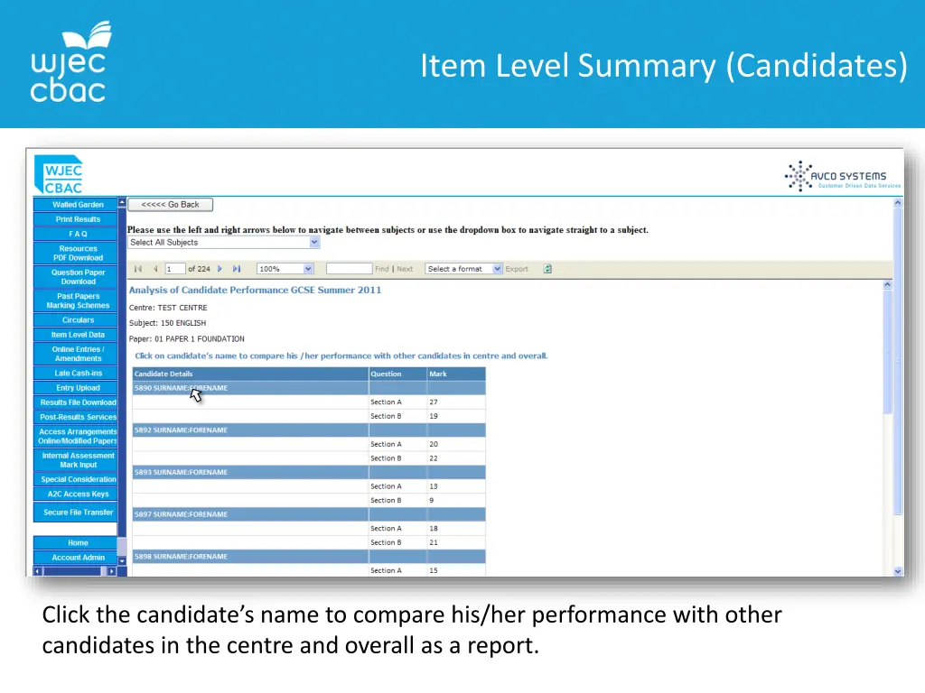 item level summary candidates