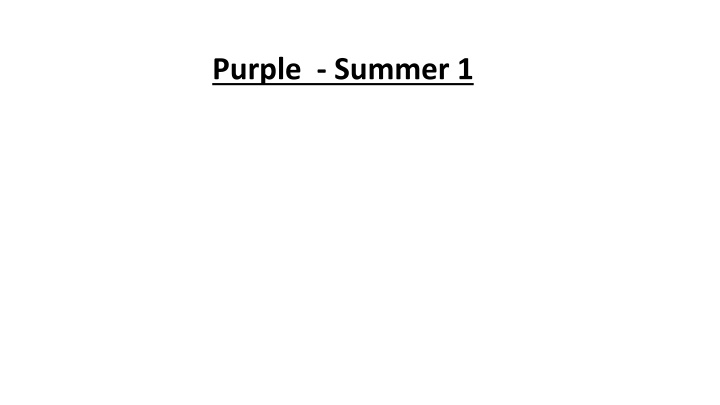 purple summer 1