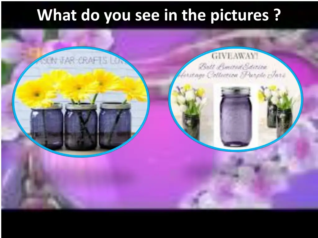 what do you see in the pictures