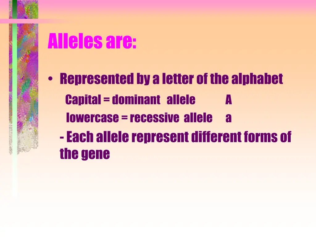 alleles are