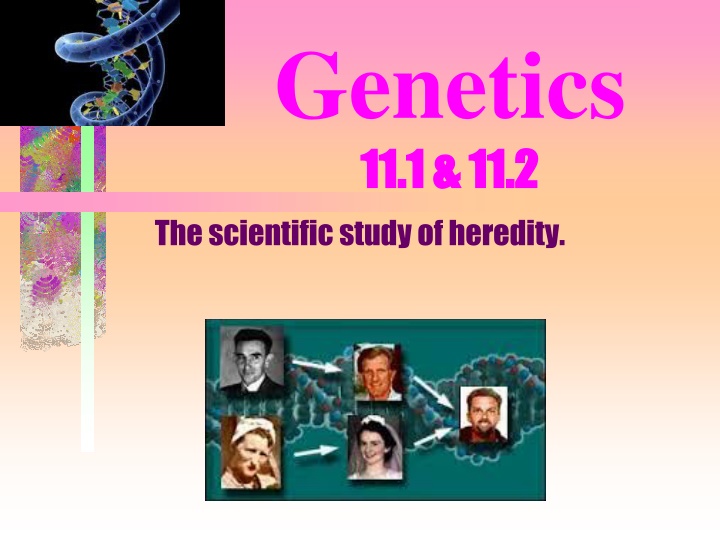 genetics 11 1 11 2 11 1 11 2 the scientific study