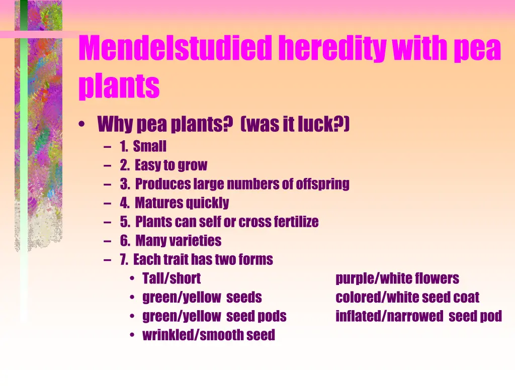 mendelstudied heredity with pea plants