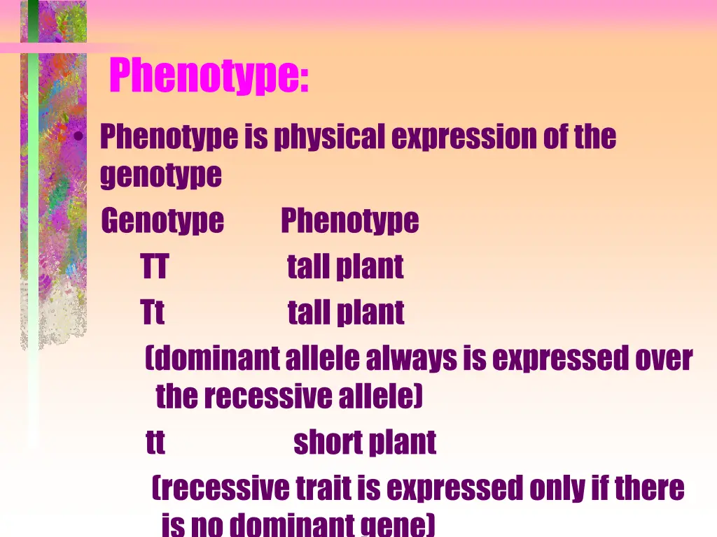 phenotype phenotype is physical expression