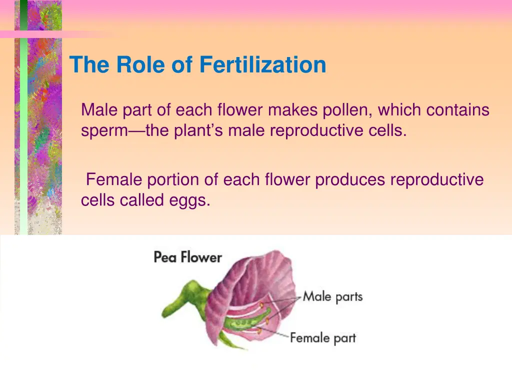 the role of fertilization