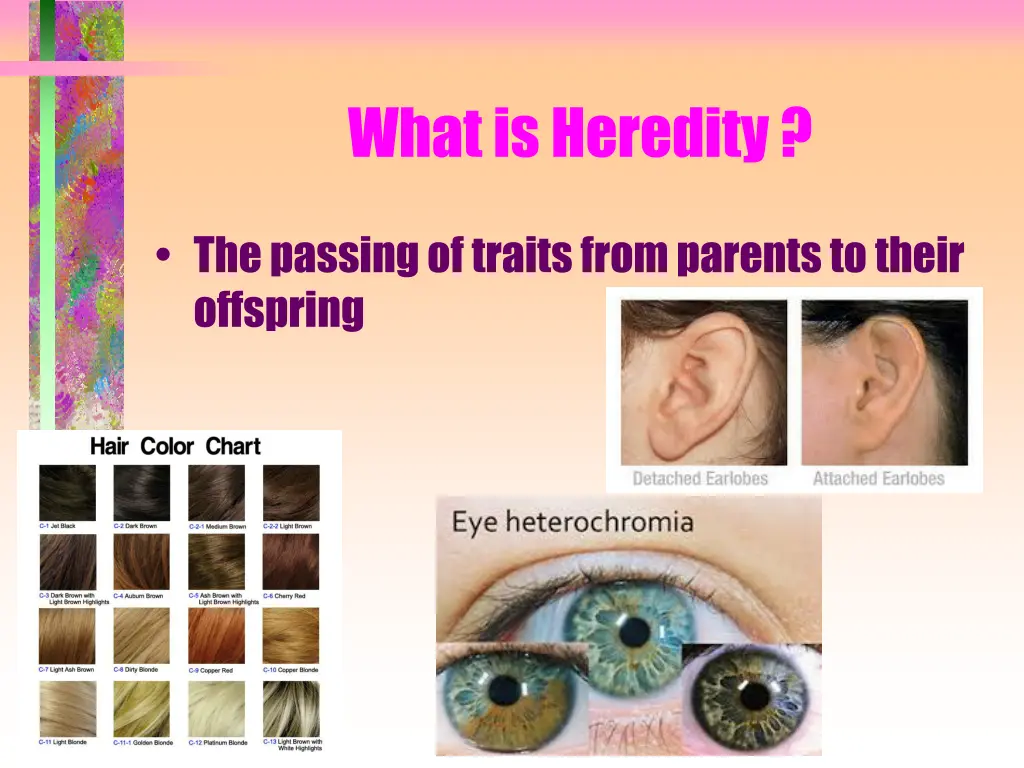 what is heredity