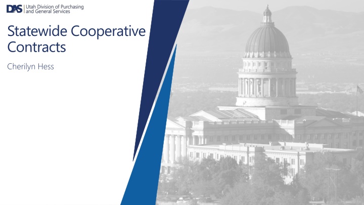 statewide cooperative contracts