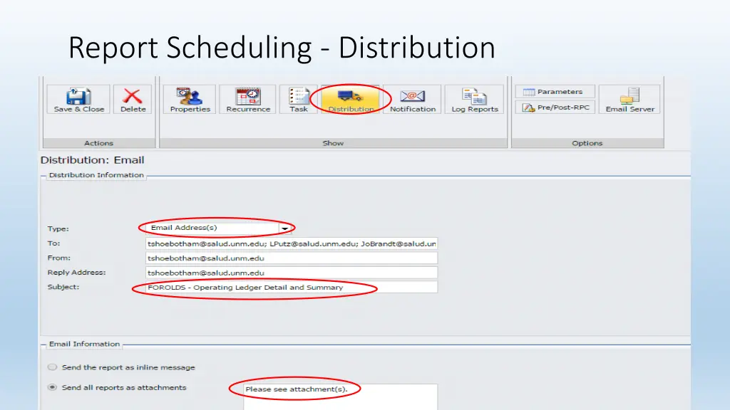 report scheduling distribution