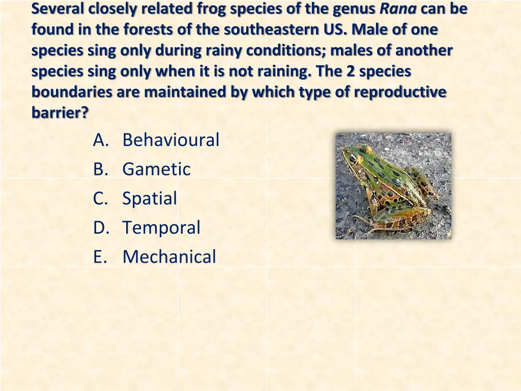 several closely related frog species of the genus