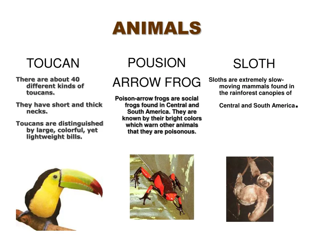 animals