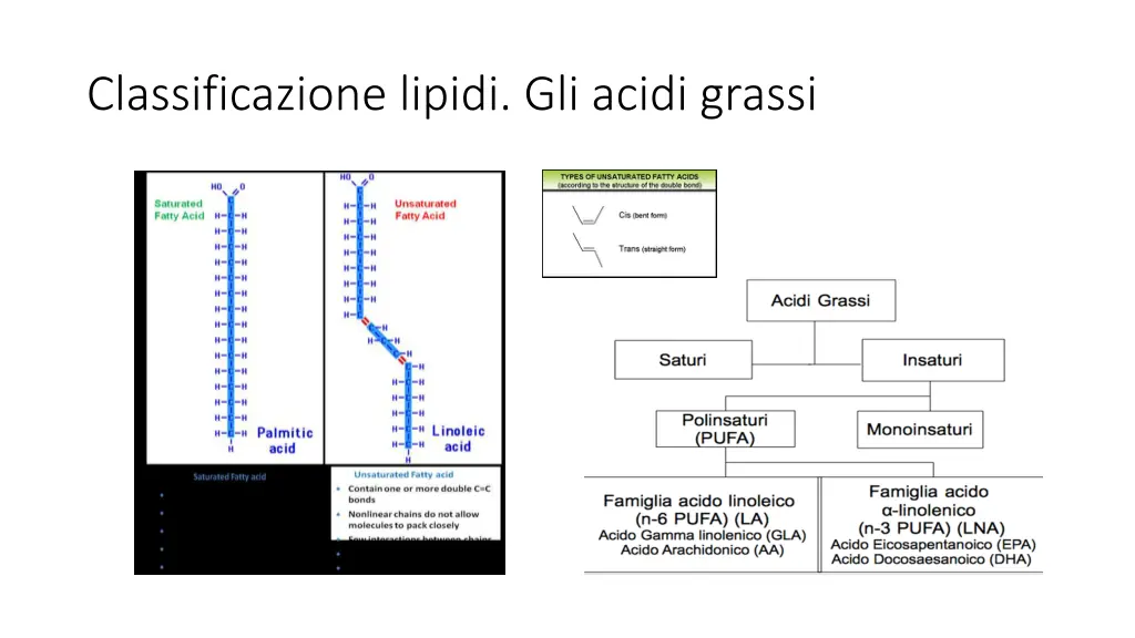 classificazione lipidi gli acidi grassi