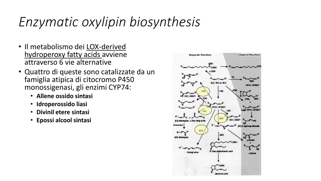 enzymatic oxylipin biosynthesis