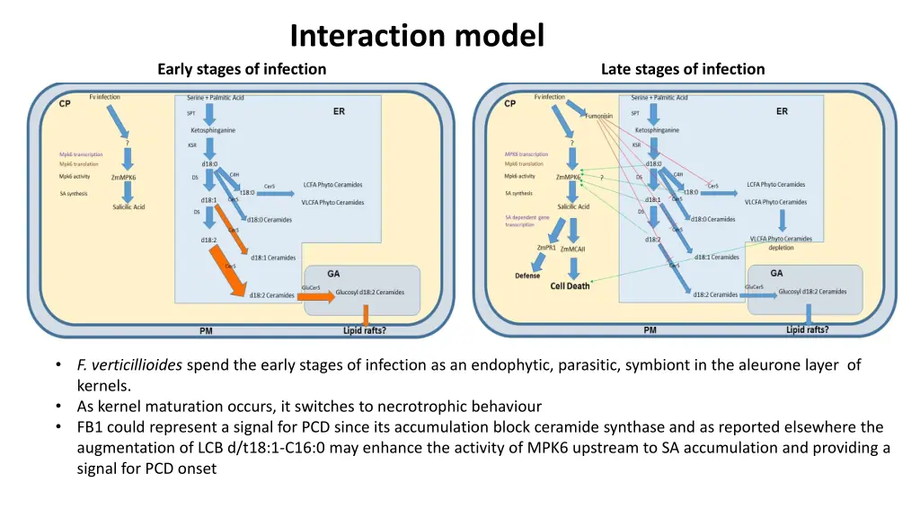 interaction model