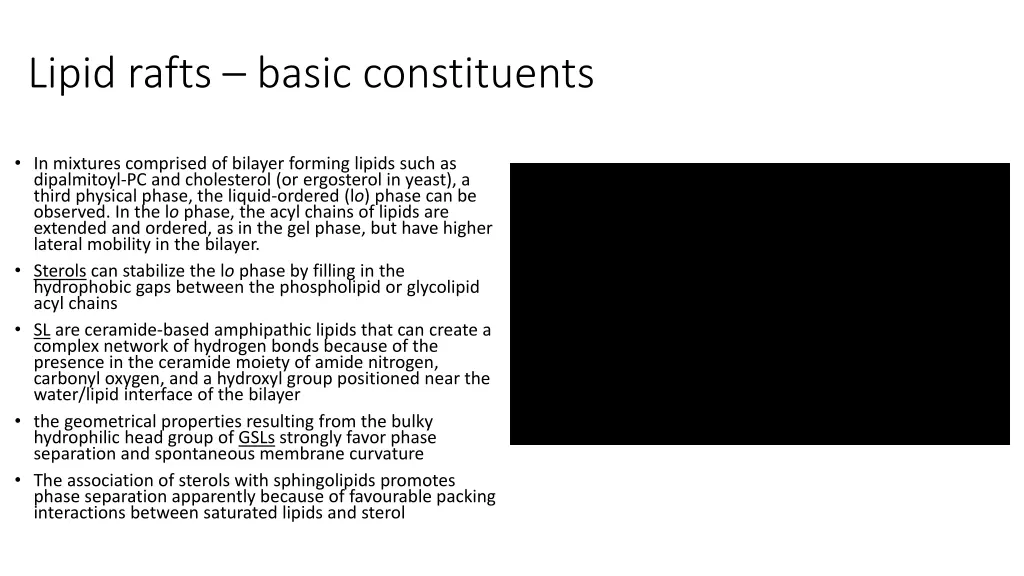 lipid rafts basic constituents