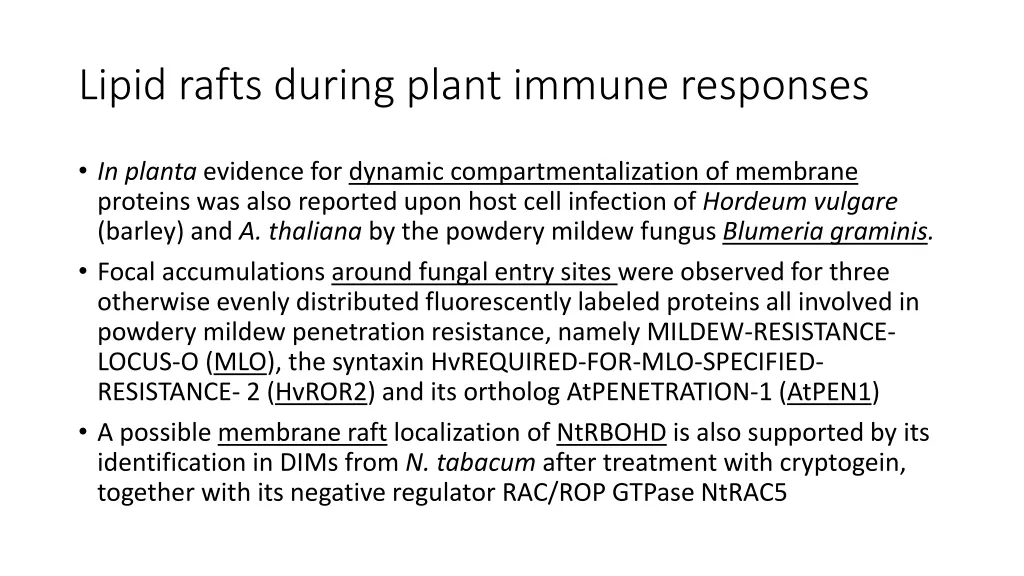 lipid rafts during plant immune responses