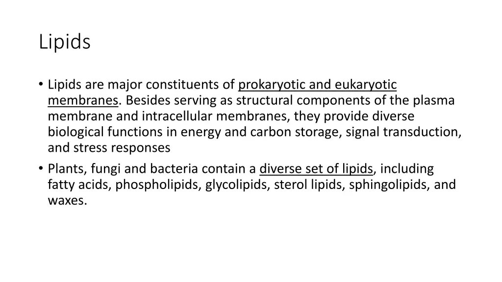 lipids