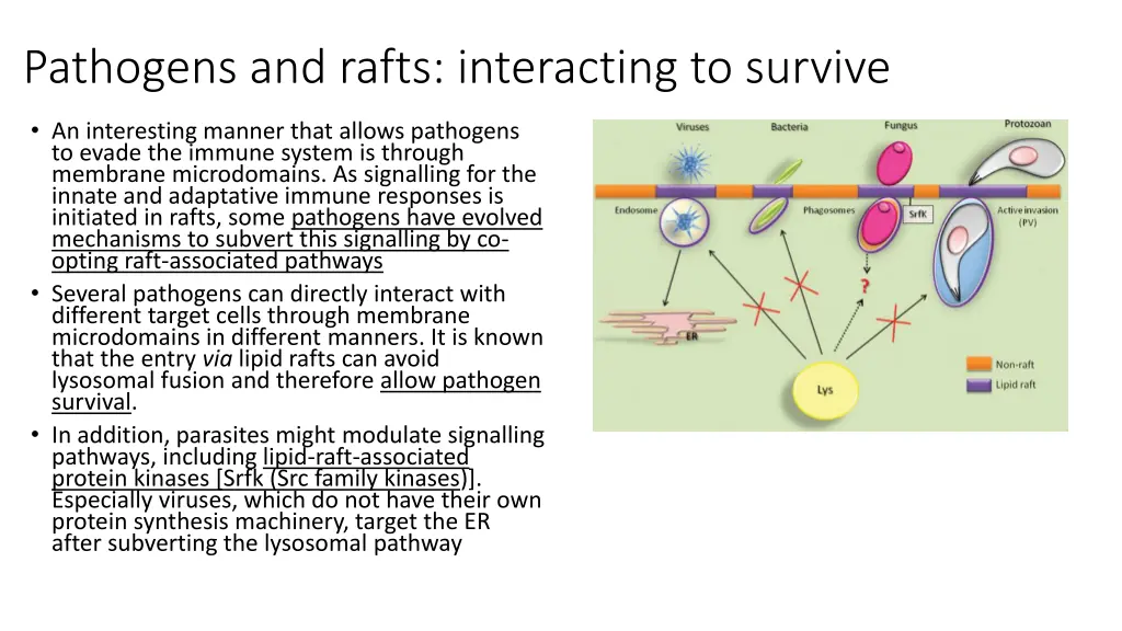 pathogens and rafts interacting to survive