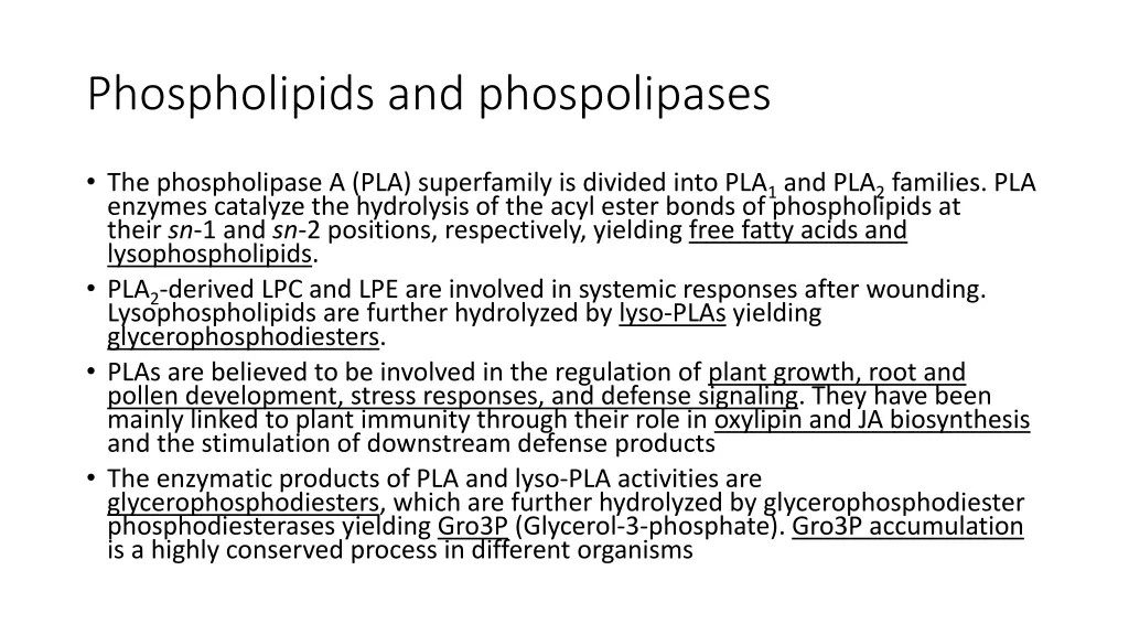 phospholipids and phospolipases 3