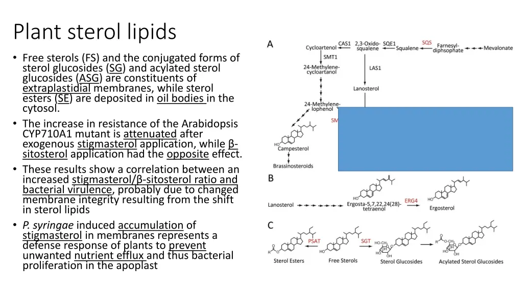 plant sterol lipids free sterols