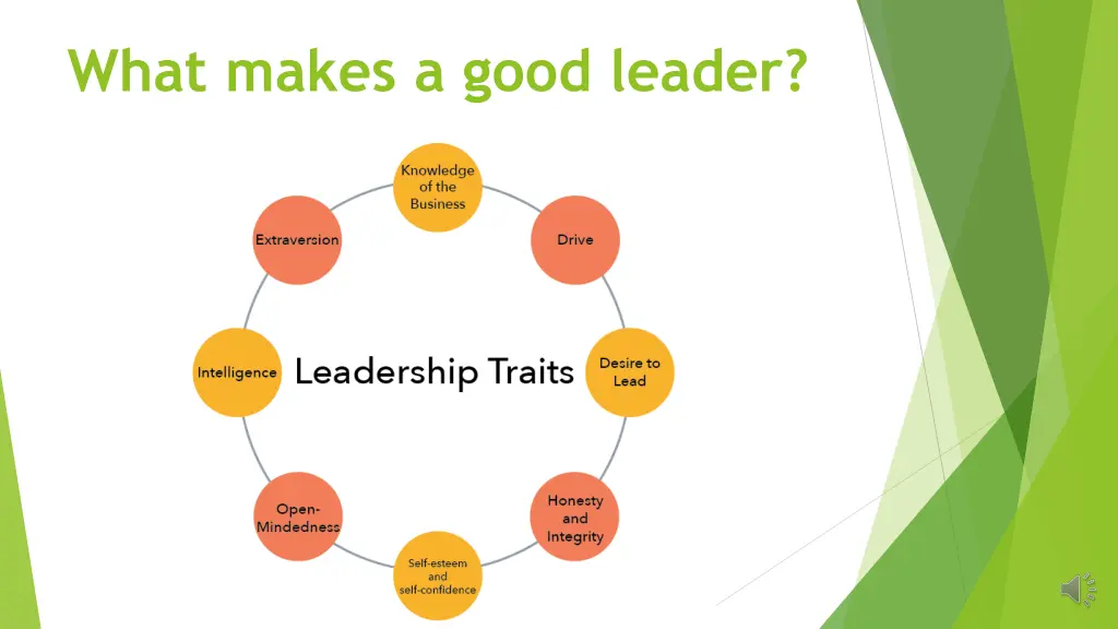 what makes a good leader